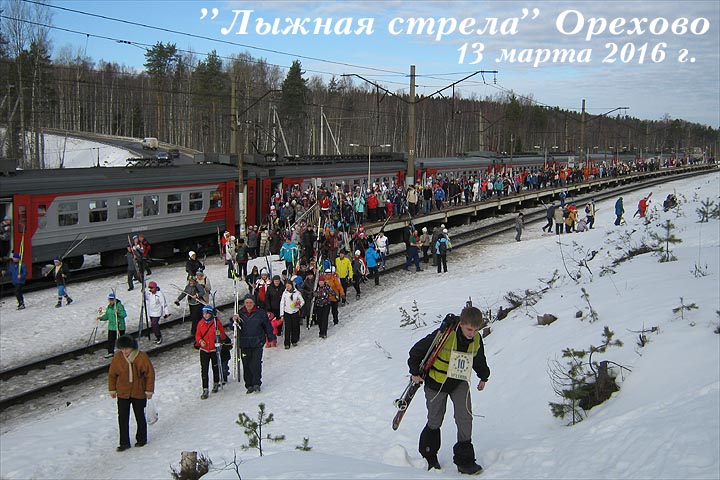 Лыжные Стрелы Купить Билет Спб